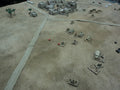 Desert warmat