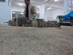 Desert warmat