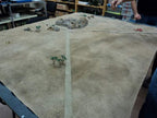 Desert warmat