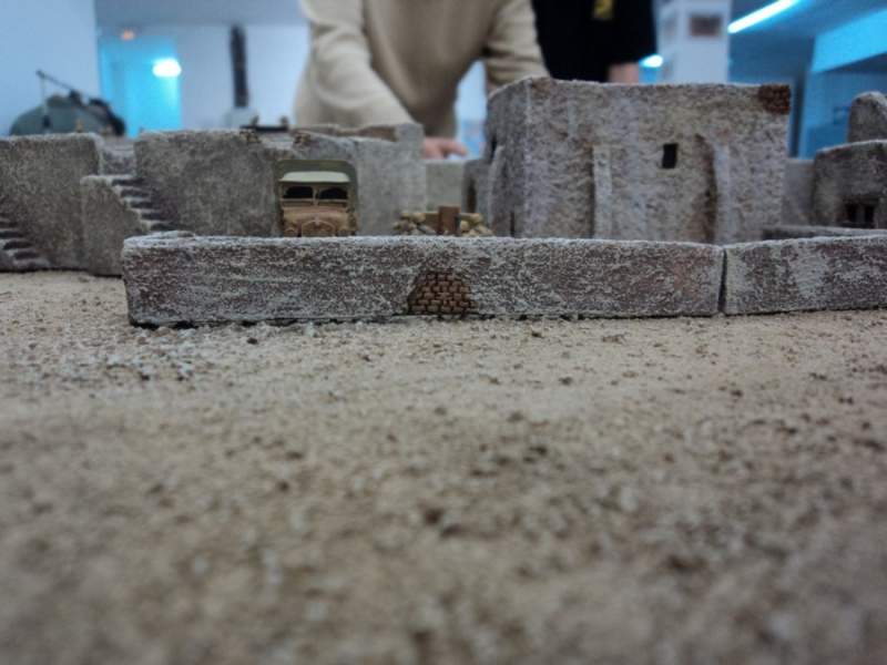 Desert warmat