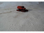 Desert warmat