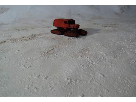 Desert warmat