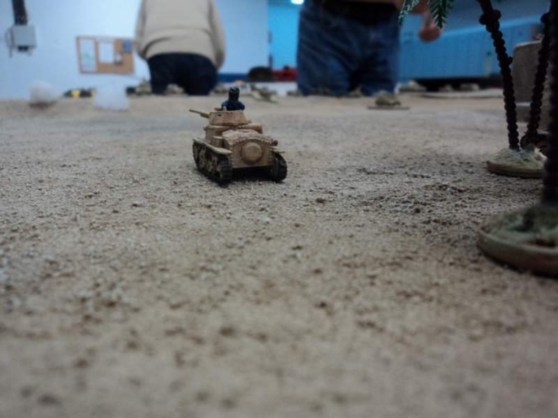 Desert warmat