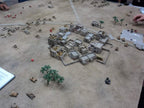 Desert warmat