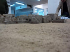 Desert warmat