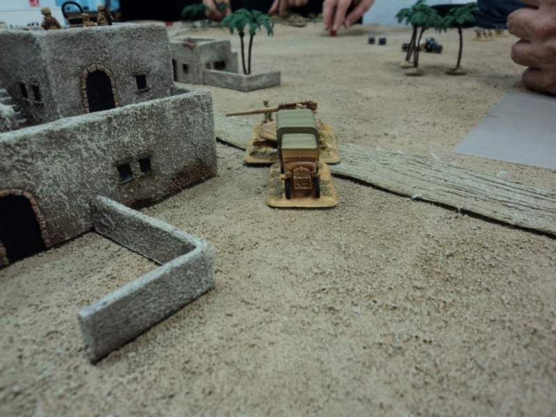 Desert warmat