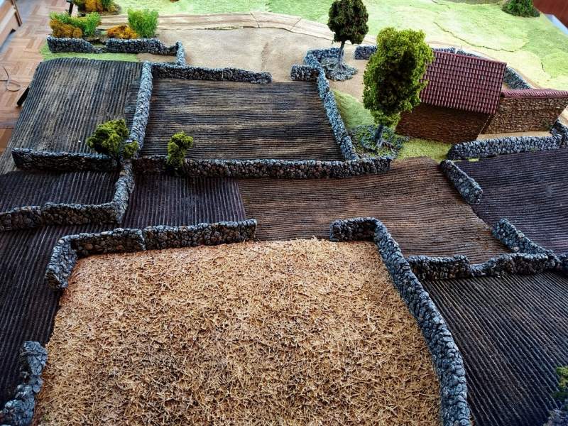 Harvested crop field, 28mm 1:56 scale