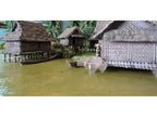 Vietnam River Boat 1:56 (28mm)